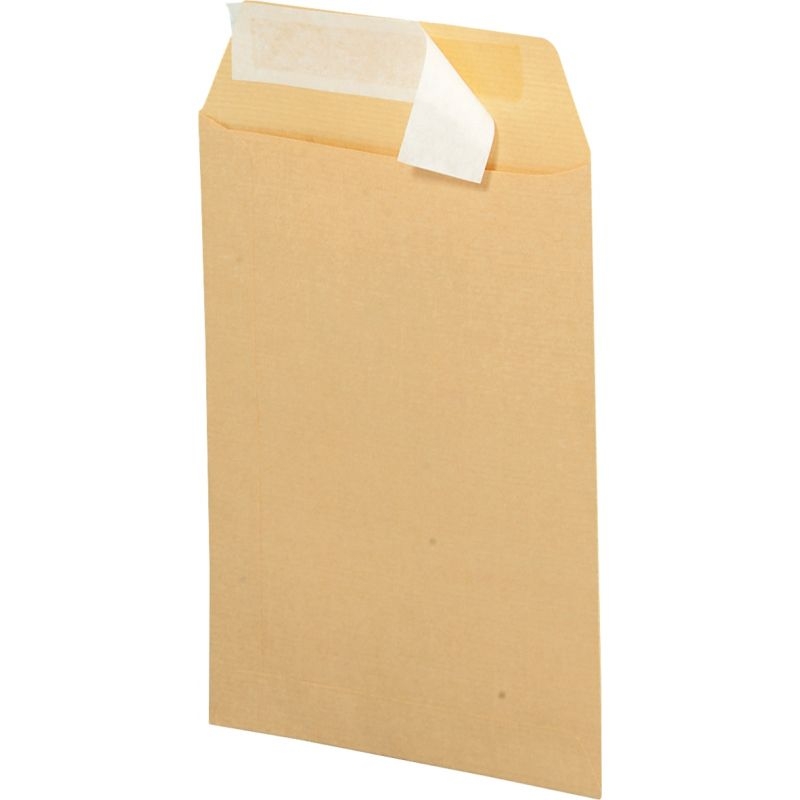 Boite de 250 Pochettes KRAFT 229X324mm 90G SAM